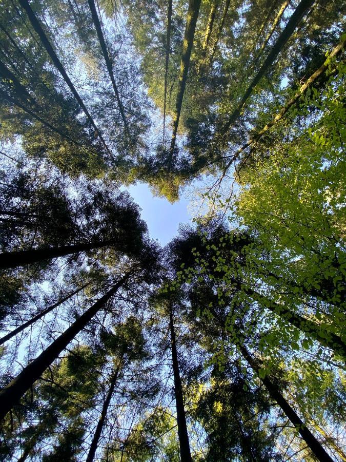 Camping de la Forêt Seasonova Sillé-le-Guillaume Extérieur photo
